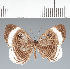  ( - CFC31706)  @11 [ ] copyright (2022) Center For Collection-Based Research Center For Collection-Based Research