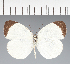  ( - CFC31717)  @11 [ ] copyright (2023) Center For Collection-Based Research Center For Collection-Based Research