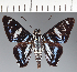  ( - CFC31889)  @11 [ ] copyright (2023) Center For Collection-Based Research Center For Collection-Based Research