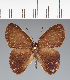  ( - CFC31910)  @11 [ ] copyright (2022) Center For Collection-Based Research Center For Collection-Based Research