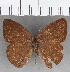  ( - CFC32038)  @11 [ ] copyright (2020) Christer Fahraeus Center For Collection-Based Research