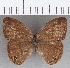  ( - CFC32049)  @11 [ ] copyright (2020) Christer Fahraeus Center For Collection-Based Research