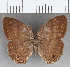  ( - CFC32071)  @11 [ ] copyright (2020) Christer Fahraeus Center For Collection-Based Research