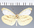  ( - CFC32146)  @11 [ ] copyright (2023) Center For Collection-Based Research Center For Collection-Based Research
