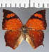  ( - CFC32239)  @11 [ ] copyright (2023) Center For Collection-Based Research Center For Collection-Based Research
