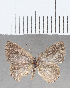  ( - CFC32392)  @11 [ ] Copyright (2020) Christer Fahraeus Center For Collection-Based Research