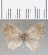  ( - CFC32400)  @11 [ ] Copyright (2020) Christer Fahraeus Center For Collection-Based Research