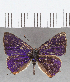  ( - CFC32417)  @11 [ ] Copyright (2020) Christer Fahraeus Center For Collection-Based Research