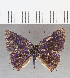  ( - CFC32418)  @11 [ ] Copyright (2020) Christer Fahraeus Center For Collection-Based Research