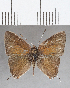  ( - CFC32427)  @11 [ ] Copyright (2020) Christer Fahraeus Center For Collection-Based Research