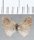  ( - CFC32524)  @11 [ ] Copyright (2020) Christer Fahraeus Center For Collection-Based Research