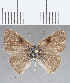  ( - CFC32534)  @11 [ ] Copyright (2020) Christer Fahraeus Center For Collection-Based Research