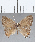  ( - CFC32537)  @11 [ ] Copyright (2020) Christer Fahraeus Center For Collection-Based Research