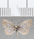  ( - CFC32651)  @11 [ ] copyright (2020) Christer Fahraeus Center For Collection-Based Research