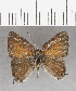  ( - CFC32680)  @11 [ ] Copyright (2020) Christer Fahraeus Center For Collection-Based Research