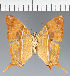  ( - CFC32875)  @11 [ ] copyright (2023) Center For Collection-Based Research Center For Collection-Based Research