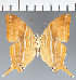  ( - CFC32876)  @11 [ ] copyright (2023) Center For Collection-Based Research Center For Collection-Based Research