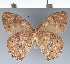  ( - CFC32883)  @11 [ ] copyright (2022) Center For Collection-Based Research Center For Collection-Based Research