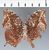  ( - CFC32891)  @11 [ ] copyright (2023) Center For Collection-Based Research Center For Collection-Based Research