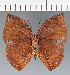  ( - CFC32892)  @11 [ ] copyright (2023) Center For Collection-Based Research Center For Collection-Based Research