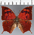  ( - CFC33203)  @11 [ ] copyright (2023) Center For Collection-Based Research Center For Collection-Based Research