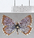  ( - CFC33259)  @11 [ ] Copyright (2020) Christer Fahraeus Center For Collection-Based Research