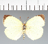  ( - CFC33268)  @11 [ ] copyright (2023) Center For Collection-Based Research Center For Collection-Based Research