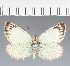  ( - CFC33269)  @11 [ ] copyright (2023) Center For Collection-Based Research Center For Collection-Based Research