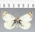  ( - CFC33271)  @11 [ ] copyright (2023) Center For Collection-Based Research Center For Collection-Based Research