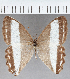  ( - CFC33319)  @11 [ ] copyright (2021) Center For Collection-Based Research Center For Collection-Based Research