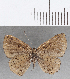  ( - CFC33707)  @11 [ ] Copyright (2019) Christer Fahraeus Center For Collection-Based Research