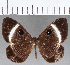  ( - CFC33757)  @11 [ ] Copyright (2019) Christer Fahraeus Center For Collection-Based Research