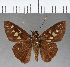  ( - CFC03379)  @11 [ ] Copyright (2018) Christer Fahraeus Center For Collection-Based Research