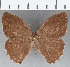  ( - CFC33807)  @11 [ ] copyright (2020) Christer Fahraeus Center For Collection-Based Research