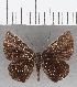  ( - CFC33852)  @11 [ ] Copyright (2019) Christer Fahraeus Center For Collection-Based Research