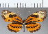  ( - CFC03389)  @11 [ ] Copyright (2019) Christer Fahraeus Center For Collection-Based Research