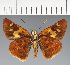  ( - CFC33928)  @11 [ ] copyright (2023) Center For Collection-Based Research Center For Collection-Based Research