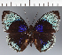  ( - CFC34016)  @11 [ ] copyright (2023) Center For Collection-Based Research Center For Collection-Based Research