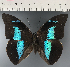  ( - CFC34019)  @11 [ ] copyright (2023) Center For Collection-Based Research Center For Collection-Based Research