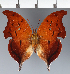  ( - CFC34129)  @11 [ ] copyright (2023) Center For Collection-Based Research Center For Collection-Based Research