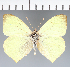  ( - CFC34238)  @11 [ ] copyright (2023) Center For Collection-Based Research Center For Collection-Based Research