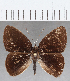  ( - CFC34437)  @11 [ ] Copyright (2019) Christer Fahraeus Center For Collection-Based Research