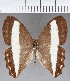  ( - CFC34469)  @11 [ ] copyright (2021) Center For Collection-Based Research Center For Collection-Based Research