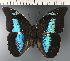  ( - CFC34793)  @11 [ ] copyright (2023) Center For Collection-Based Research Center For Collection-Based Research