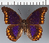  ( - CFC34801)  @11 [ ] copyright (2023) Center For Collection-Based Research Center For Collection-Based Research