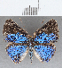  ( - CFC35002)  @11 [ ] Copyright (2020) Christer Fahraeus Center For Collection-Based Research