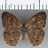  ( - CFC35011)  @11 [ ] copyright (2020) Christer Fahraeus Center For Collection-Based Research