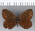 ( - CFC03507)  @11 [ ] Copyright (2018) Christer Fahraeus Center For Collection-Based Research