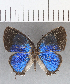 ( - CFC00351)  @13 [ ] Copyright (2019) Christer Fahraeus Center For Collection-Based Research