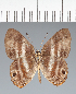 ( - CFC35101)  @11 [ ] copyright (2022) Center For Collection-Based Research Center For Collection-Based Research